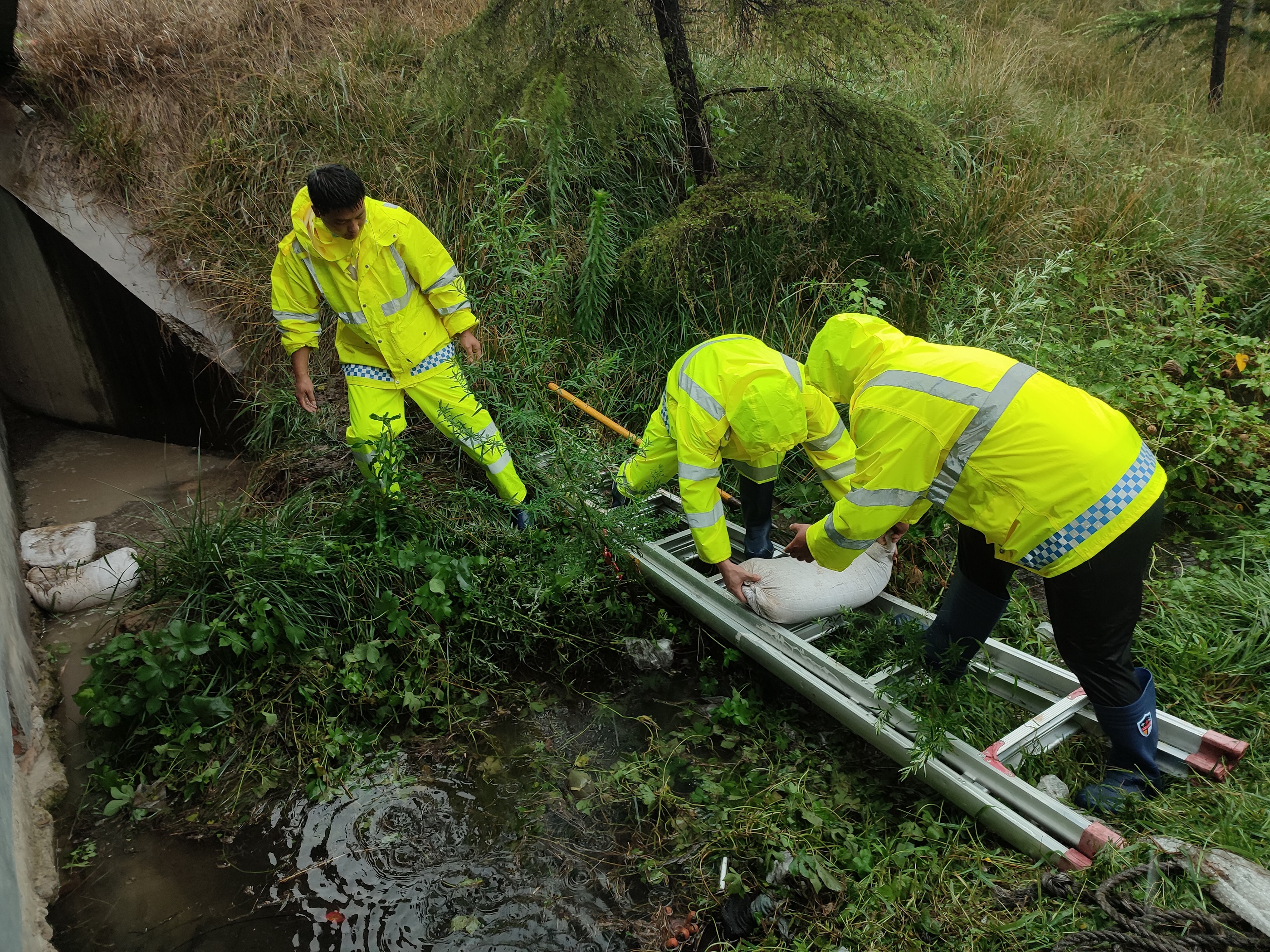 7月22日永城南服務區為持續做好新一輪降雨汛期防汛工作，組織員工對水泵房、配電房、廣場排水通道、主樓房頂及圍墻邊溝等重點區域進行疏通清理，全力做好防汛工作。 巢芳芳 攝 (1) (1.jpg